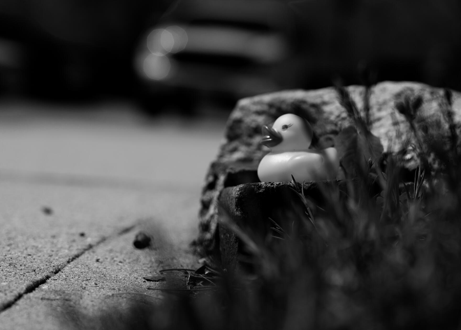 Canard en Caoutchouc